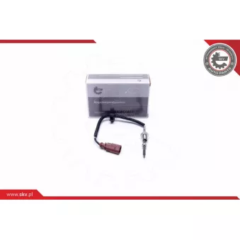 Capteur, température des gaz ESEN SKV 30SKV429