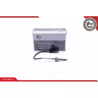 Capteur, température des gaz ESEN SKV 30SKV432