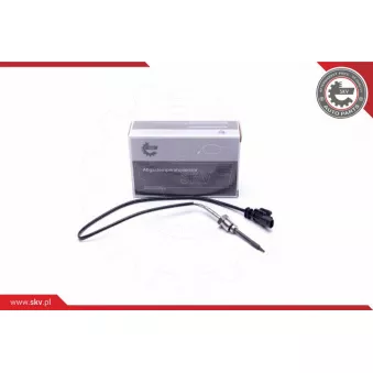 Capteur, température des gaz ESEN SKV 30SKV433