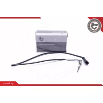 Capteur, température des gaz ESEN SKV 30SKV436