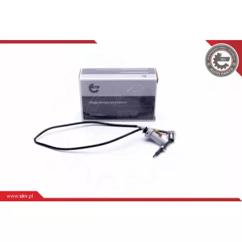 Capteur, température des gaz ESEN SKV 30SKV439