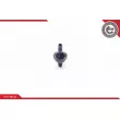 Valve, controle d'air-air d'admission ESEN SKV 31SKV001 - Visuel 2
