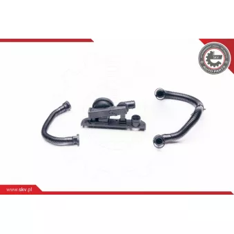 Kit de réparation, ventilation du carter-moteur ESEN SKV 31SKV003