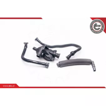 Kit de réparation, ventilation du carter-moteur ESEN SKV 31SKV042