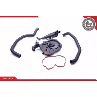 Kit de réparation, ventilation du carter-moteur ESEN SKV 31SKV100