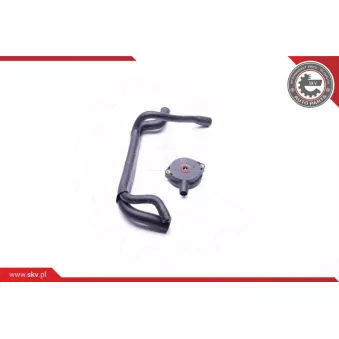 Kit de réparation, ventilation du carter-moteur ESEN SKV 31SKV101