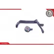 Kit de réparation, ventilation du carter-moteur ESEN SKV 31SKV101 - Visuel 2