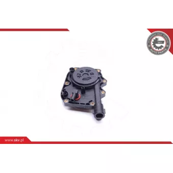 Kit de réparation, ventilation du carter-moteur ESEN SKV 31SKV103