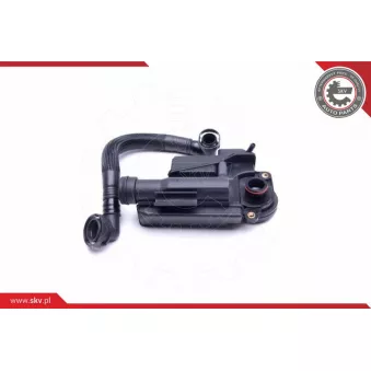 Kit de réparation, ventilation du carter-moteur ESEN SKV 31SKV163