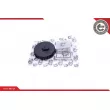 Diaphragme, ventilation du carter-moteur ESEN SKV 31SKV190 - Visuel 1