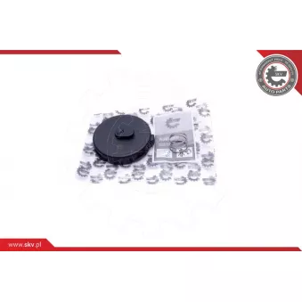 Diaphragme, ventilation du carter-moteur ESEN SKV 31SKV190