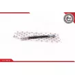 Flexible de frein ESEN SKV 35SKV093 - Visuel 1