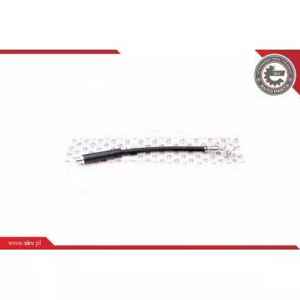 Flexible de frein ESEN SKV 35SKV107