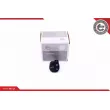 Interrupteur, lève-vitre ESEN SKV 37SKV360 - Visuel 1