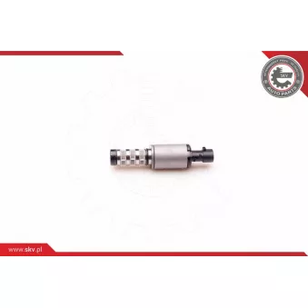 Valve de commande, réglage d'arbres à came ESEN SKV 39SKV001