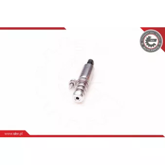 Valve de commande, réglage d'arbres à came ESEN SKV 39SKV002