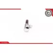 Valve de commande, réglage d'arbres à came ESEN SKV 39SKV004 - Visuel 1