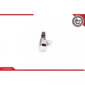 Valve de commande, réglage d'arbres à came ESEN SKV 39SKV004