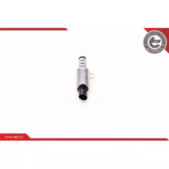 Valve de commande, réglage d'arbres à came ESEN SKV 39SKV008