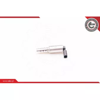 Valve de commande, réglage d'arbres à came ESEN SKV 39SKV009