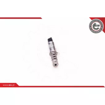 Valve de commande, réglage d'arbres à came ESEN SKV 39SKV010