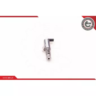 Valve de commande, réglage d'arbres à came ESEN SKV 39SKV011