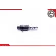 Valve de commande, réglage d'arbres à came ESEN SKV 39SKV024 - Visuel 2