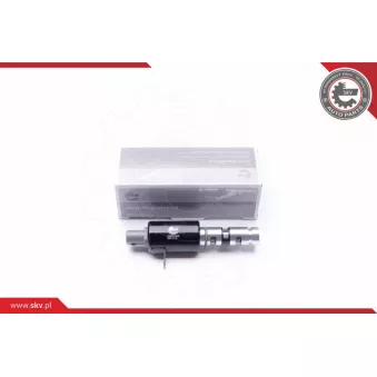 Valve de commande, réglage d'arbres à came ESEN SKV 39SKV025