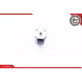 Valve de commande, réglage d'arbres à came ESEN SKV 39SKV027