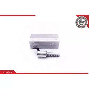 Valve de commande, réglage d'arbres à came ESEN SKV 39SKV028
