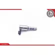 Valve de commande, réglage d'arbres à came ESEN SKV 39SKV030 - Visuel 2