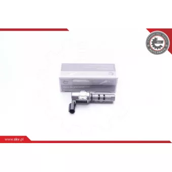 Valve de commande, réglage d'arbres à came ESEN SKV 39SKV031