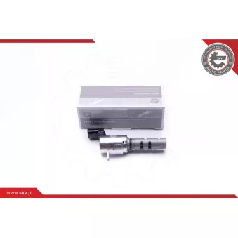 Valve de commande, réglage d'arbres à came ESEN SKV 39SKV032