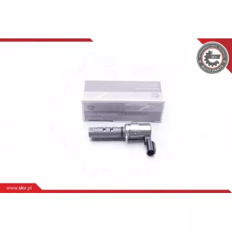 Valve de commande, réglage d'arbres à came ESEN SKV 39SKV035