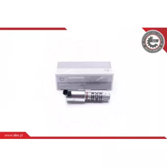 Valve de commande, réglage d'arbres à came ESEN SKV 39SKV036