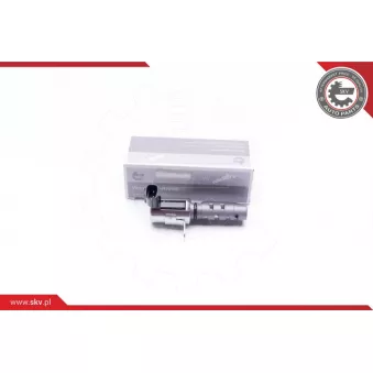 Valve de commande, réglage d'arbres à came ESEN SKV 39SKV038