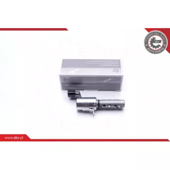 Valve de commande, réglage d'arbres à came ESEN SKV 39SKV039
