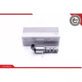 Valve de commande, réglage d'arbres à came ESEN SKV 39SKV040