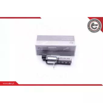 Valve de commande, réglage d'arbres à came ESEN SKV 39SKV041