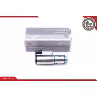 Valve de commande, réglage d'arbres à came ESEN SKV 39SKV044