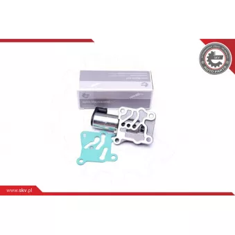 Valve de commande, réglage d'arbres à came ESEN SKV 39SKV046