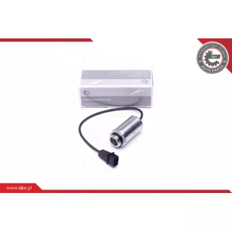 Valve de commande, réglage d'arbres à came ESEN SKV 39SKV048