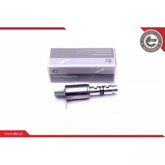 Valve de commande, réglage d'arbres à came ESEN SKV 39SKV053