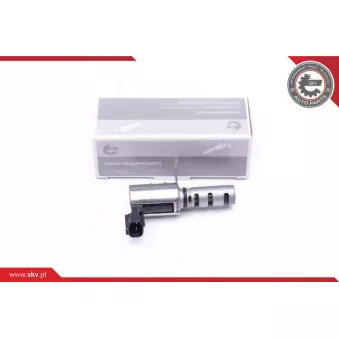 Valve de commande, réglage d'arbres à came ESEN SKV 39SKV056