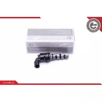 Valve de commande, réglage d'arbres à came ESEN SKV 39SKV062