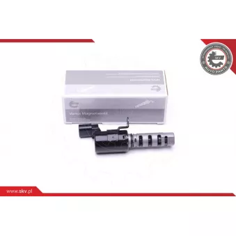 Valve de commande, réglage d'arbres à came ESEN SKV 39SKV066