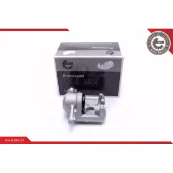 Étrier de frein ESEN SKV