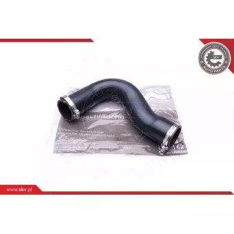 Gaine de suralimentation ESEN SKV 43SKV019