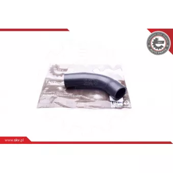 Gaine de suralimentation ESEN SKV 43SKV062