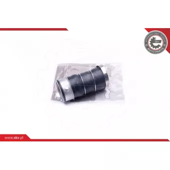 Gaine de suralimentation ESEN SKV 43SKV085